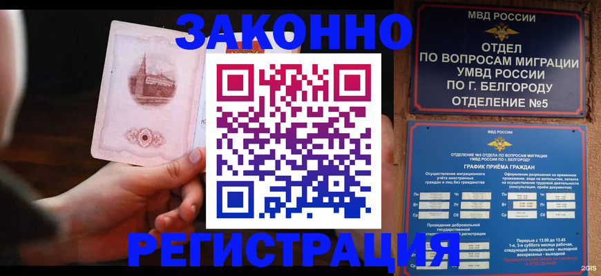 прописка 2025 в Луге